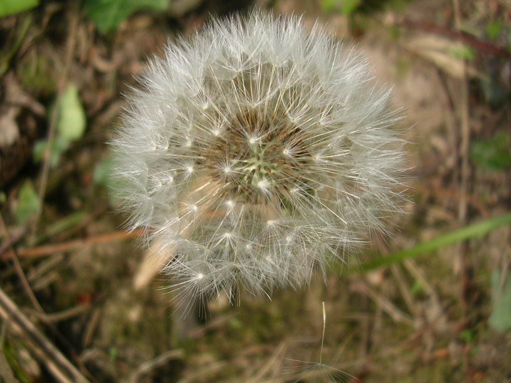 DSCN2888.JPG
