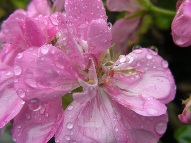 DSCN9754.JPG