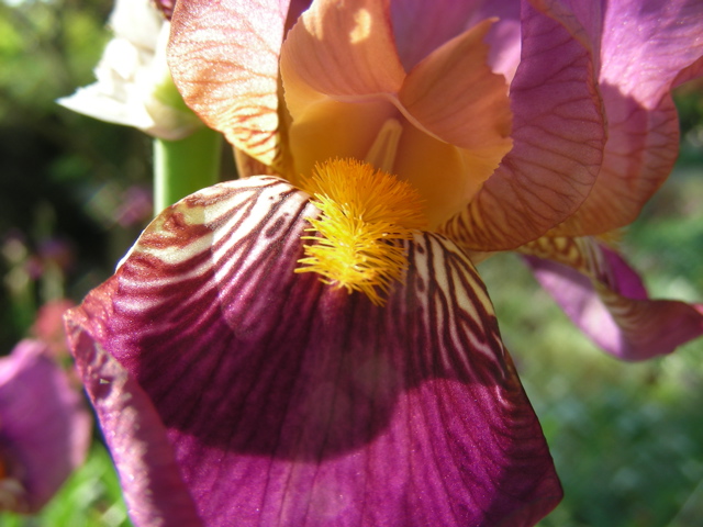 DSCN9663.JPG