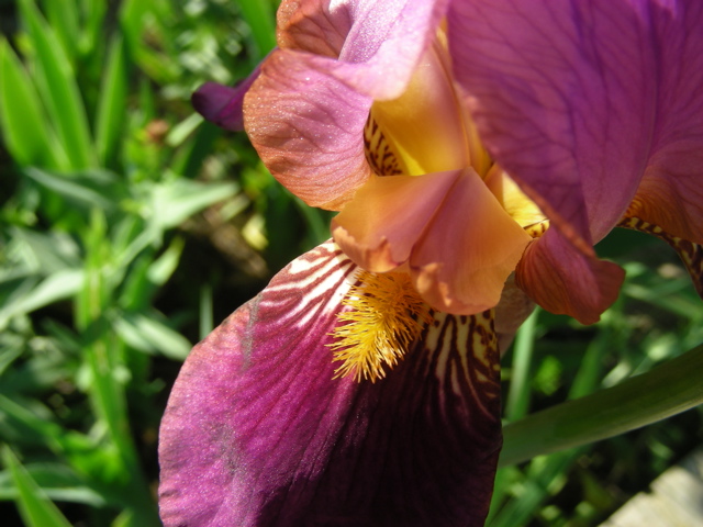 DSCN9664.JPG