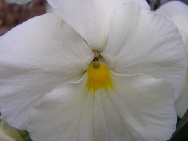 DSCN9685.JPG
