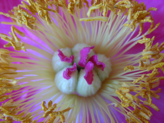 DSCN9687.JPG