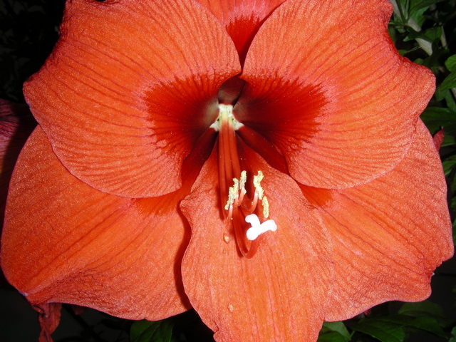 DSCN9714.JPG