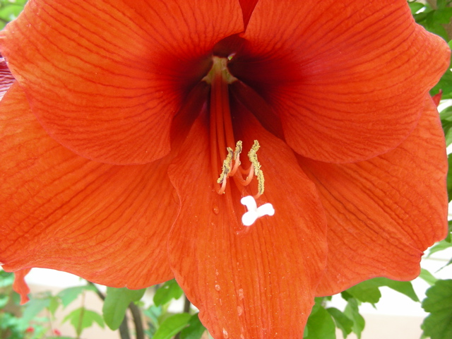 DSCN9715.JPG