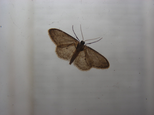 DSCN9729.JPG