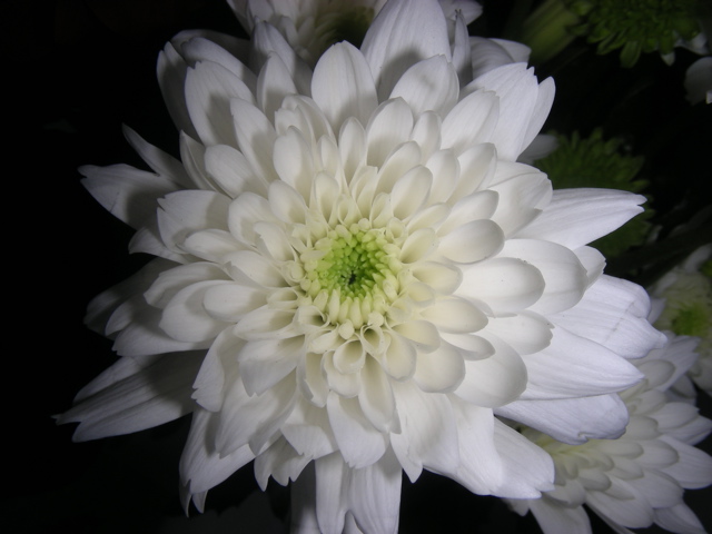 DSCN9734.JPG