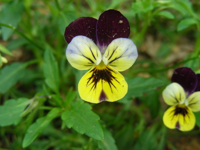 DSCN9739.JPG