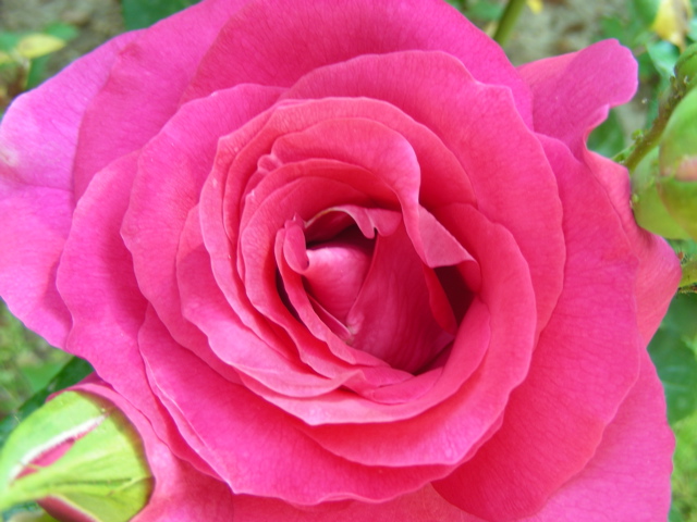 DSCN9654.JPG