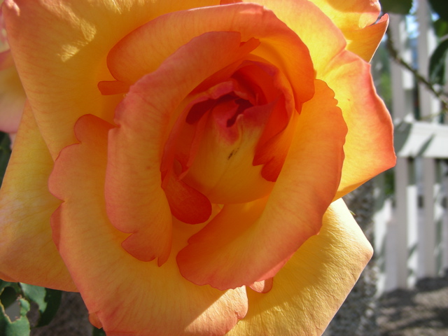 DSCN9657.JPG