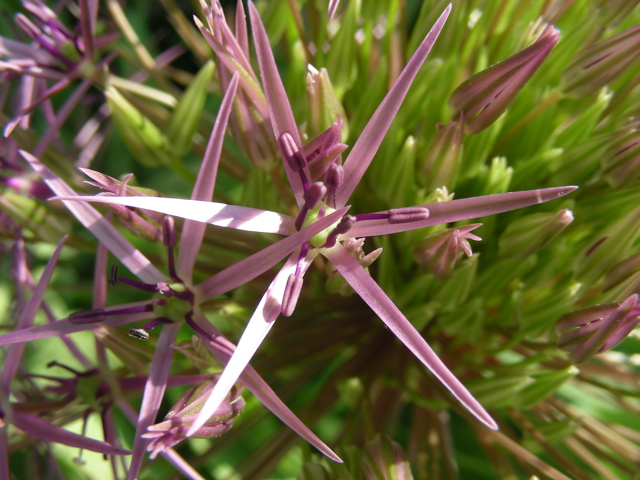 DSCN9661.JPG