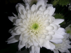 DSCN9734.JPG
