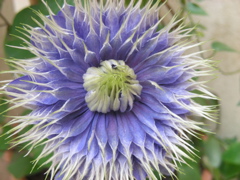 DSCN9747.JPG