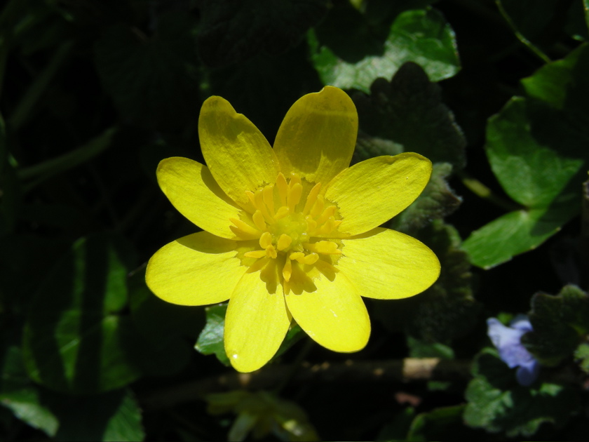 DSCN9181.JPG