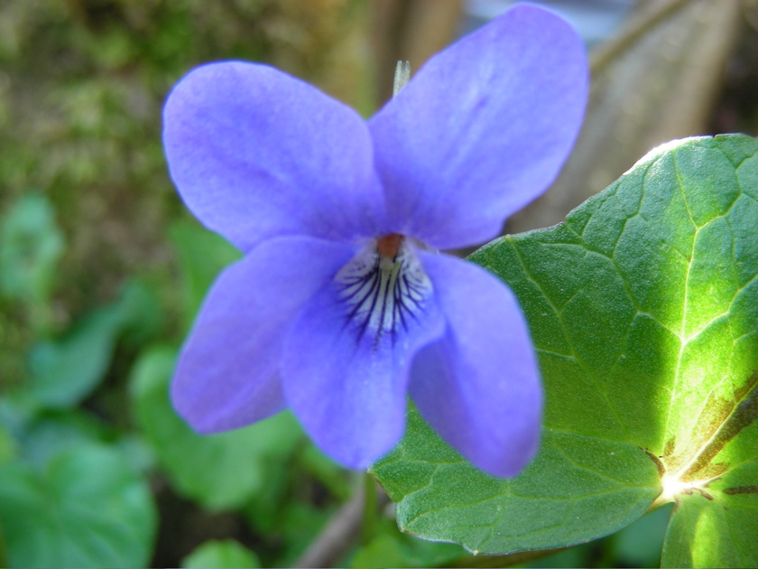 DSCN9182.JPG