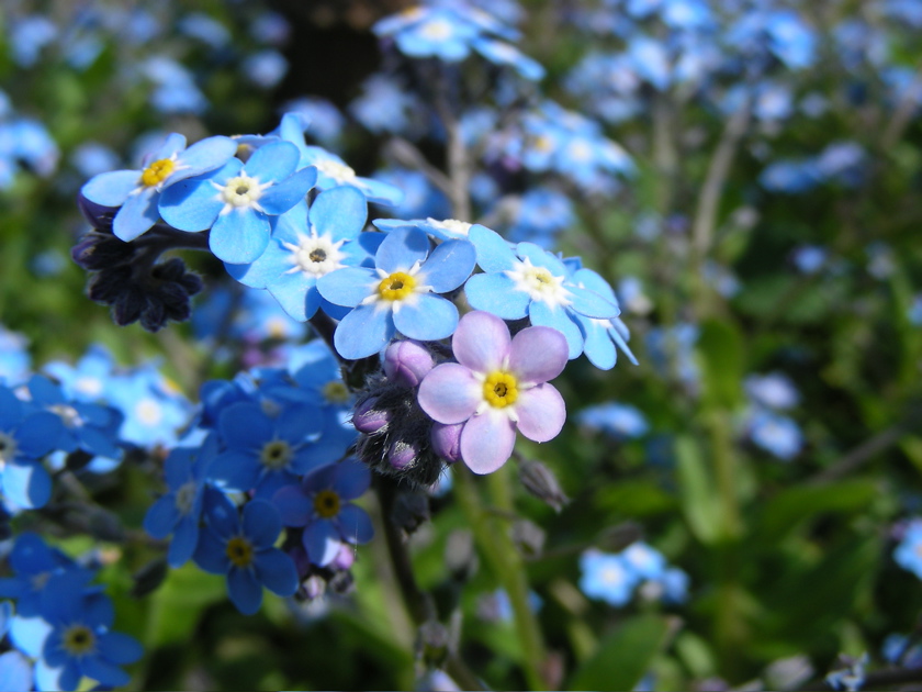 DSCN9185.JPG