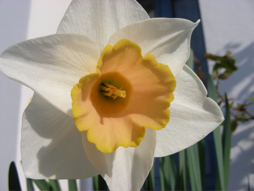 DSCN9203.JPG