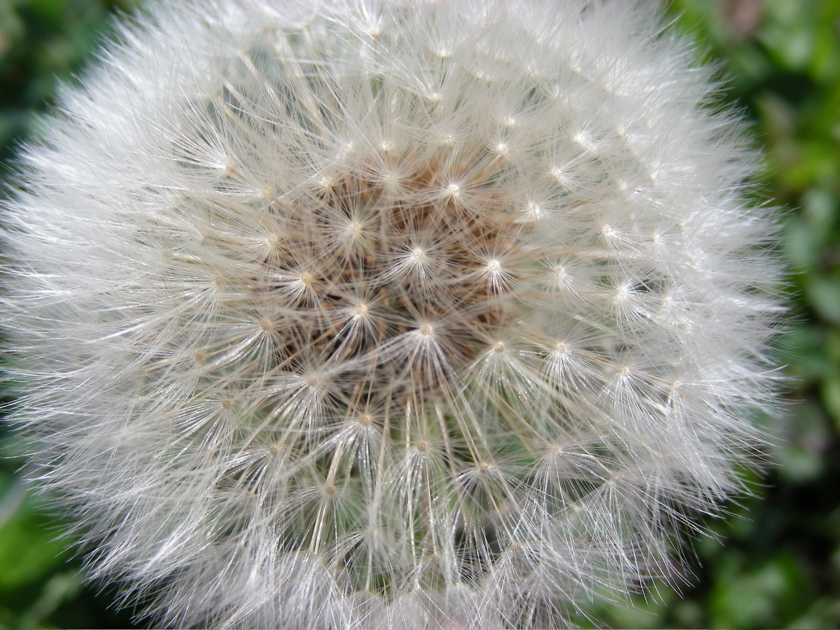 DSCN9226.JPG