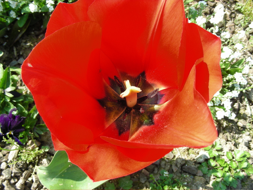 DSCN9228.JPG