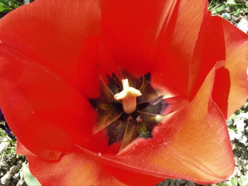 DSCN9229.JPG
