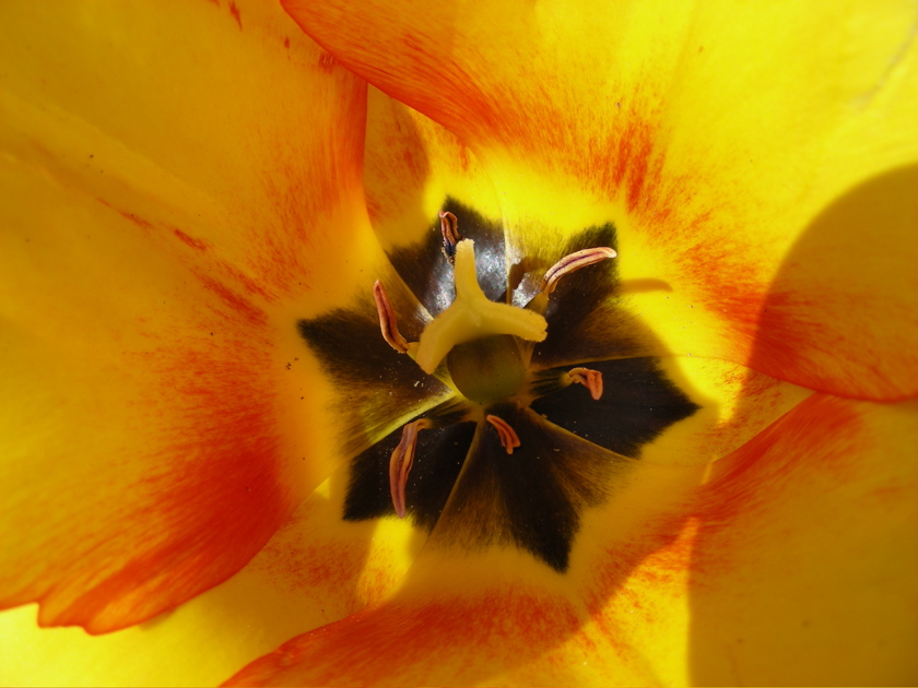 DSCN9232.JPG
