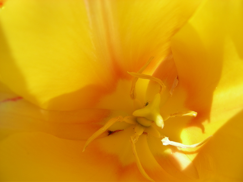 DSCN9233.JPG
