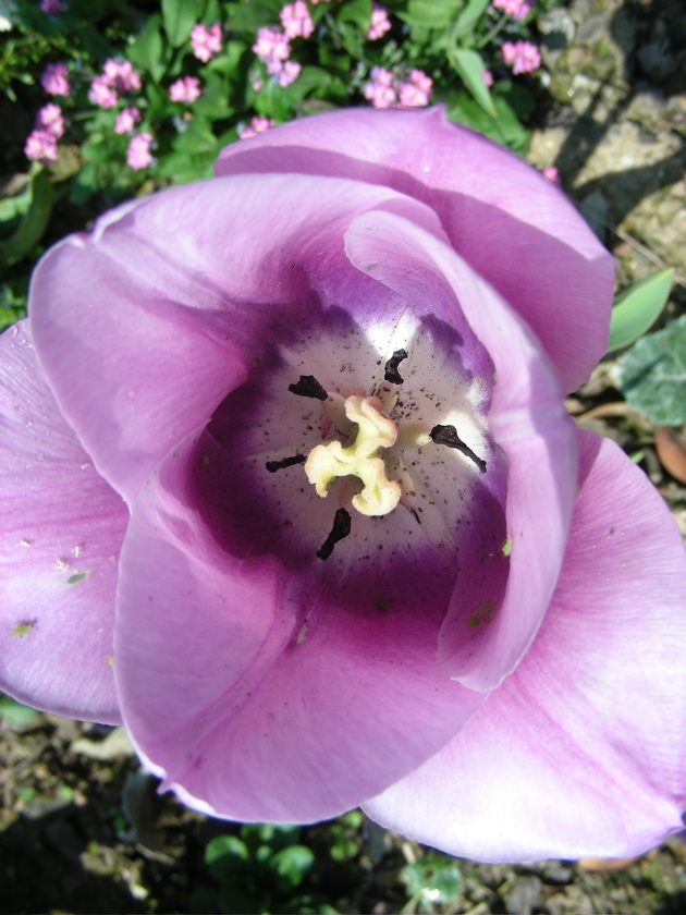 DSCN9234.JPG