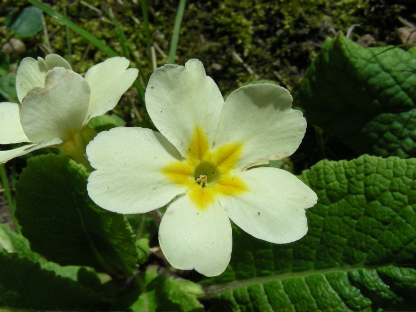 DSCN9250.JPG