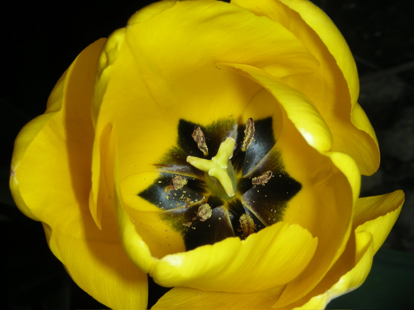 DSCN9252.JPG
