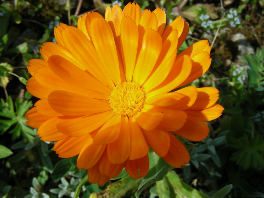 DSCN9172.JPG