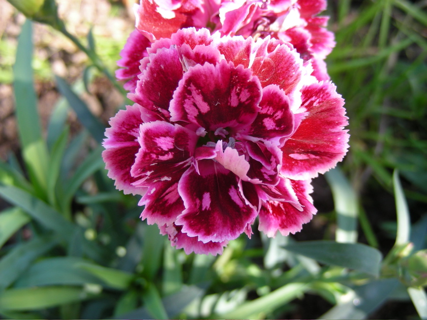 DSCN9257.JPG