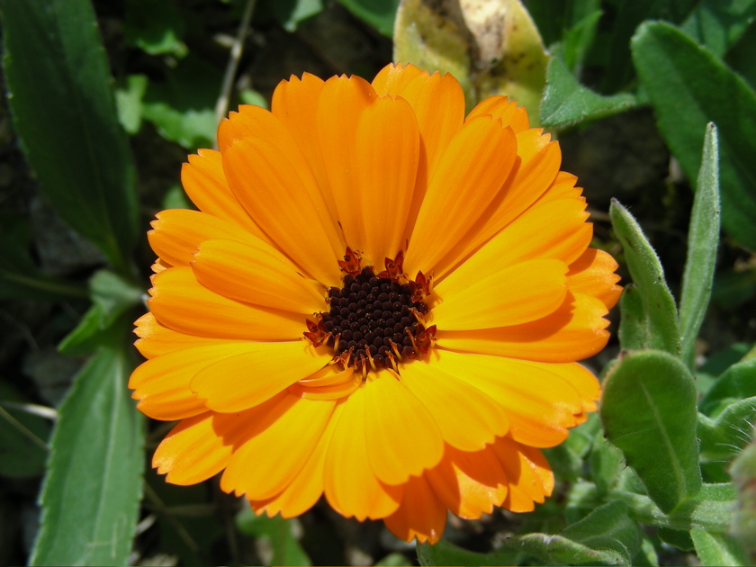 DSCN9173.JPG