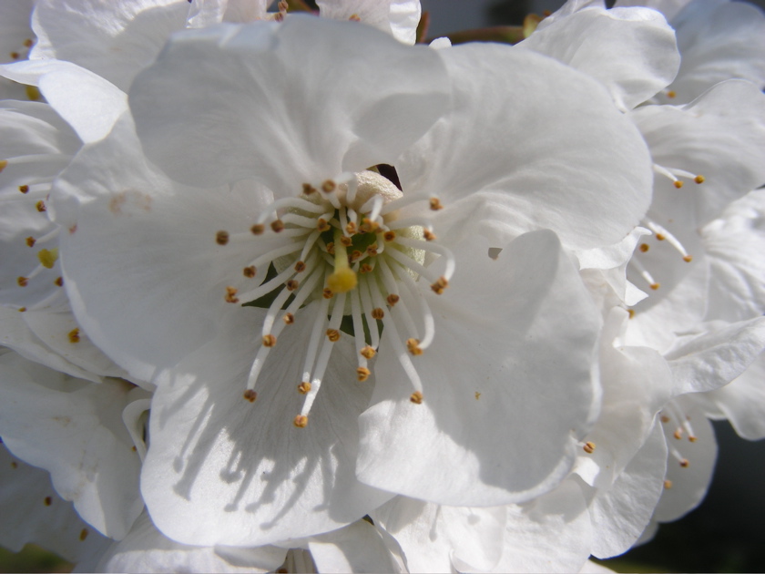 DSCN9174.JPG