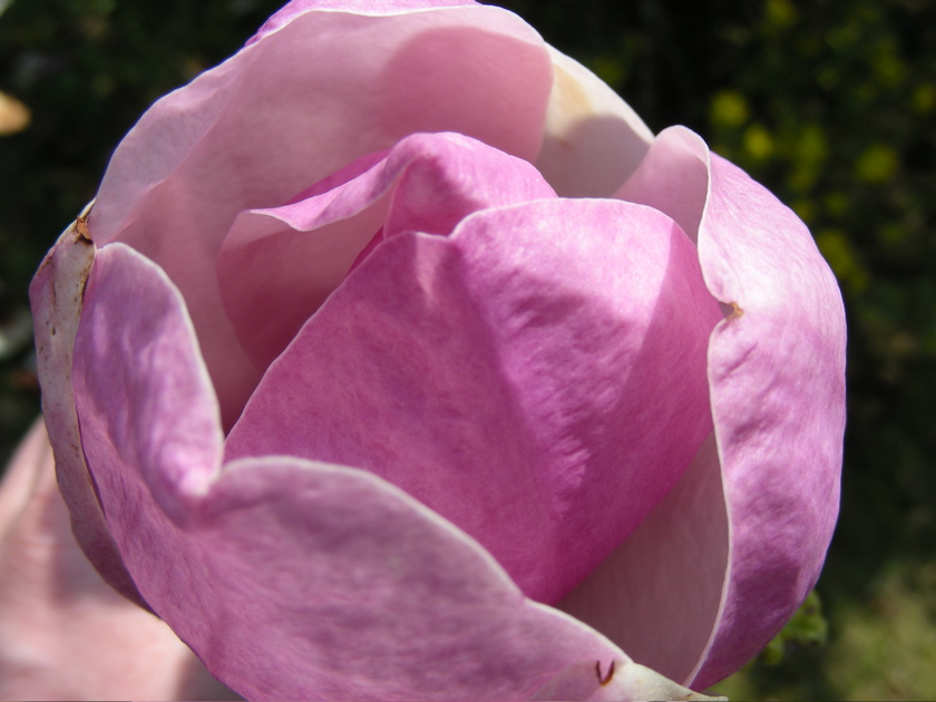 DSCN9177.JPG