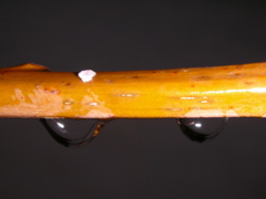DSCN9025