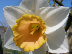 DSCN9178.JPG