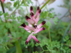 DSCN9179.JPG