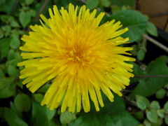 DSCN9180.JPG
