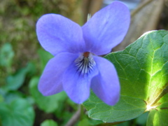 DSCN9182.JPG