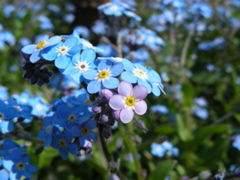 DSCN9185.JPG