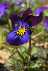 DSCN9201.JPG