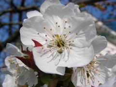 DSCN9202.JPG