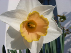 DSCN9203.JPG
