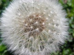 DSCN9226.JPG