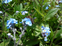 DSCN9171.JPG