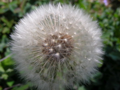 DSCN9227.JPG