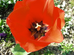 DSCN9228.JPG