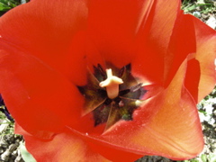 DSCN9229.JPG