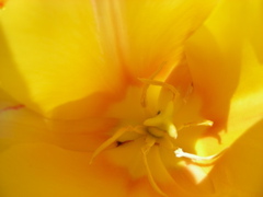 DSCN9233.JPG
