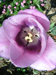 DSCN9234.JPG
