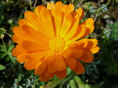 DSCN9172.JPG